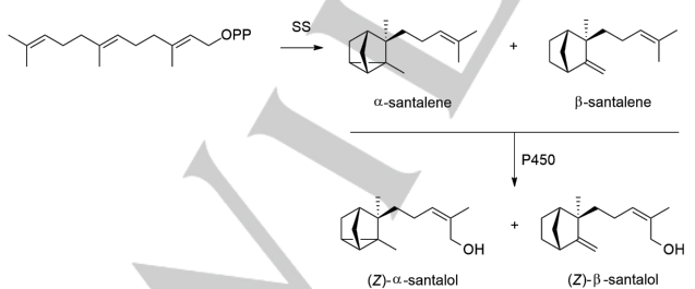生物合成香料的化學(xué)組成、可持續(xù)性和天然性