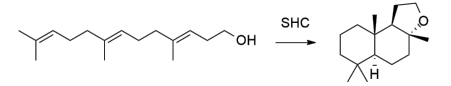 生物合成香料的化學(xué)組成、可持續(xù)性和天然性