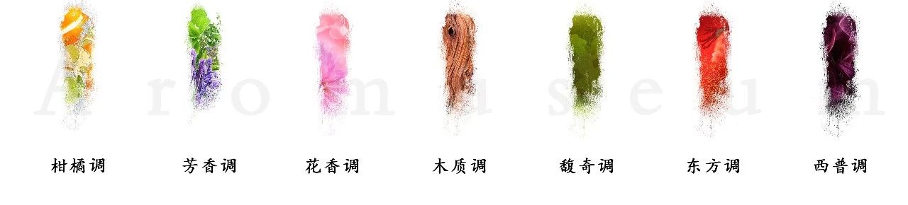 為什么有人一身果香，有人卻一身藿香？